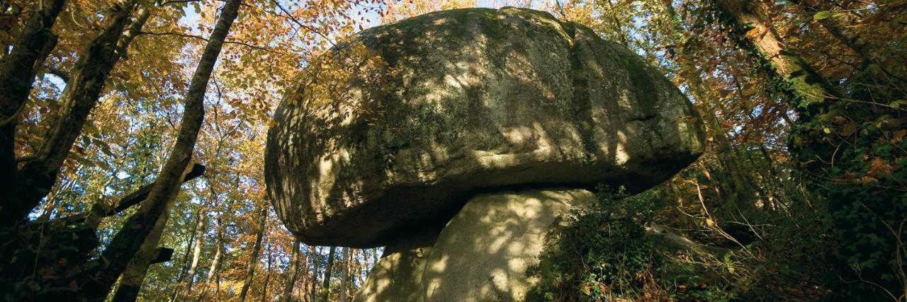 Chambre D'Hotes De La Roche Tremblante Huelgoat Exteriér fotografie